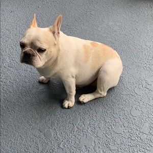 Meet your Posher, Arden